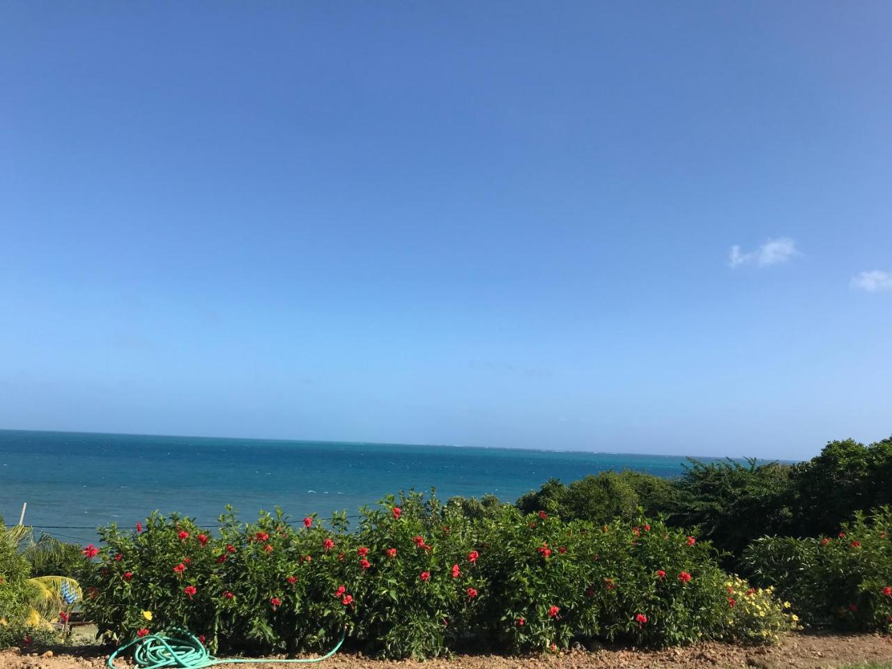 מלון Bahia Maracaibo Maracaibo View מראה חיצוני תמונה